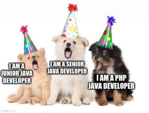 I am a Java developer