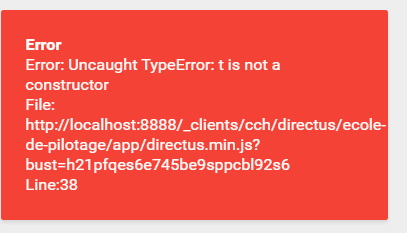 Directus / Error message